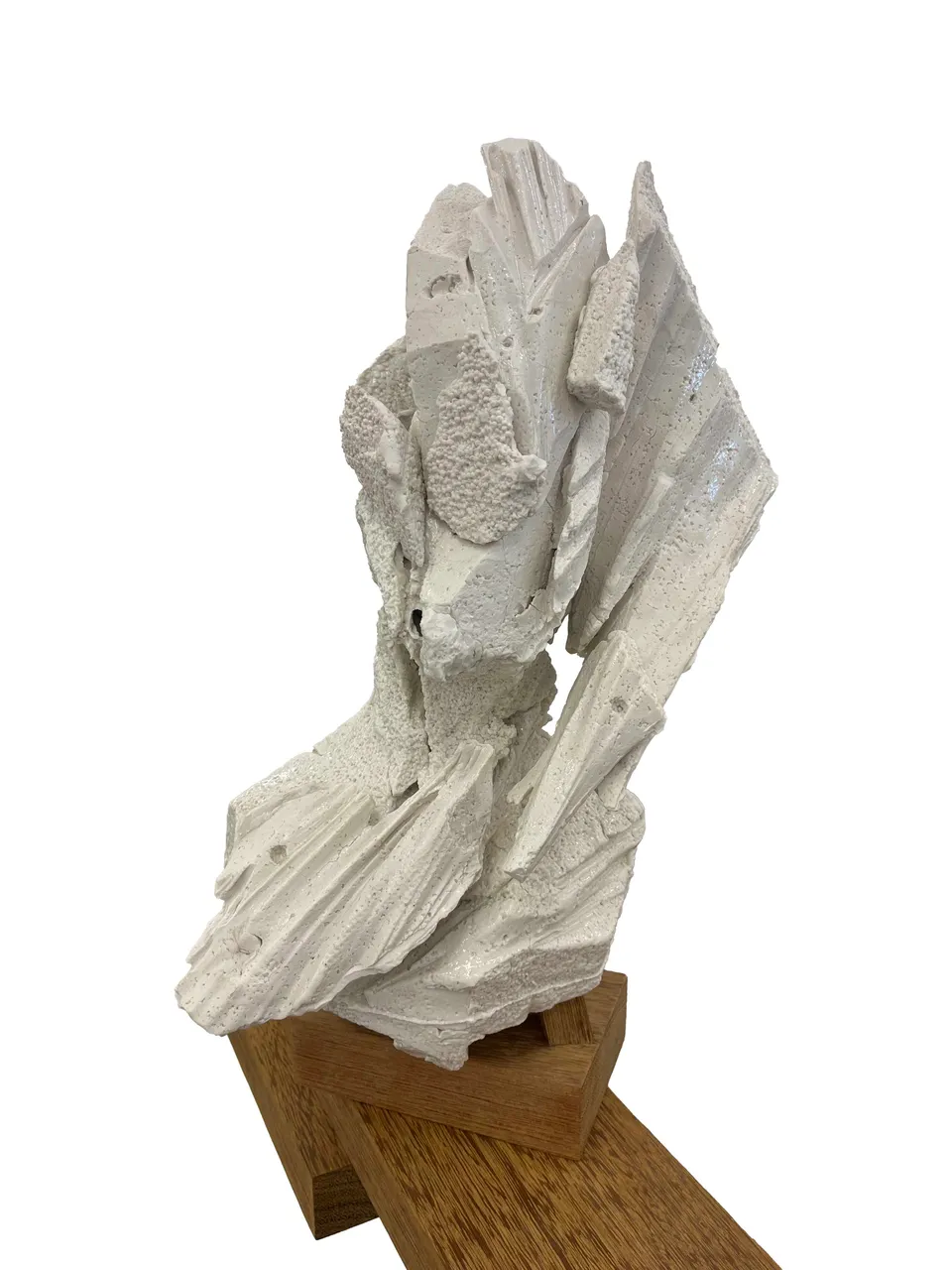 Wim Botha, Untitled (I withhold 3)