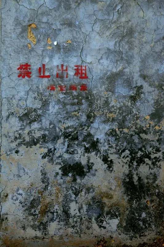 Bonnie Baxter, Guanlan: Real Estate (China Jane Series)