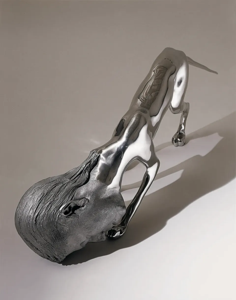 Rona Pondick, Fox