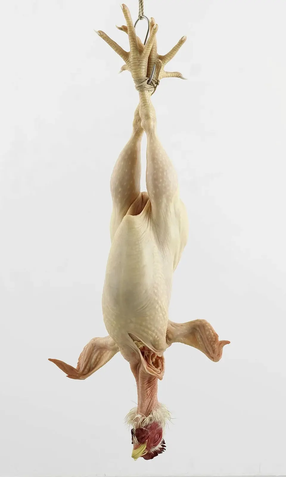 Ron Mueck, Still Life