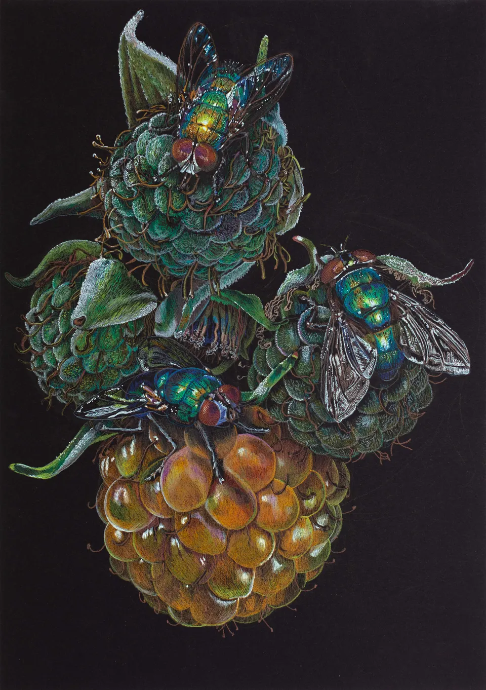 Deborah Poynton, Drawing on Black Paper 29