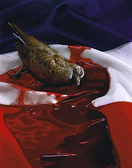 Manit Sriwanichpoom, Dead Dove on Thai Flag
