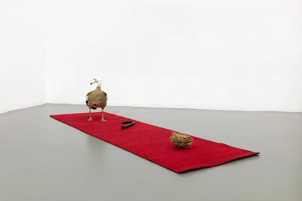 Mawande Ka Zenzile, The Golden Goose (An Autobiography of an Artist)