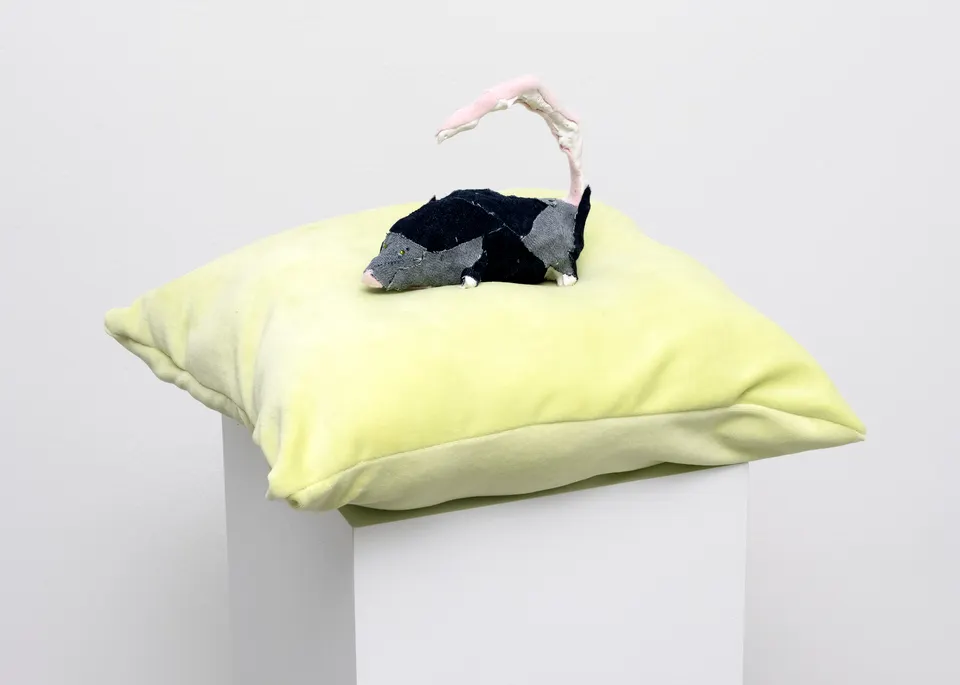 Gina Fischli, Just looking