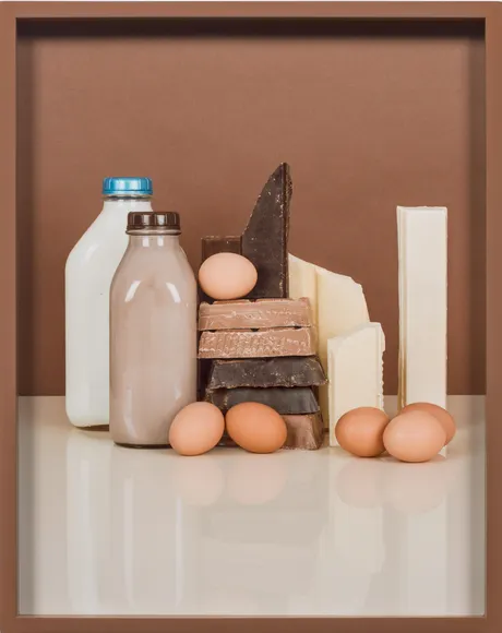 Elad Lassry, Chocolate Bars, Eggs, Milk