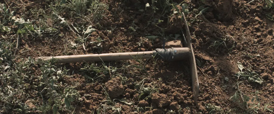 Simon Gush, Working the Land