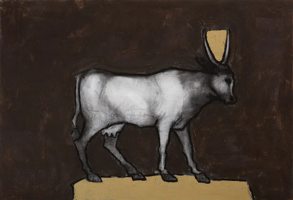 Mawande Ka Zenzile, Cash Cow