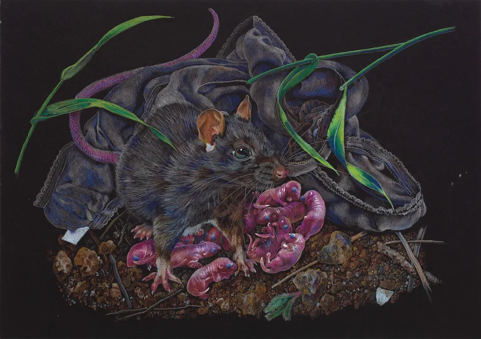 Deborah Poynton, Drawing on Black Paper 37