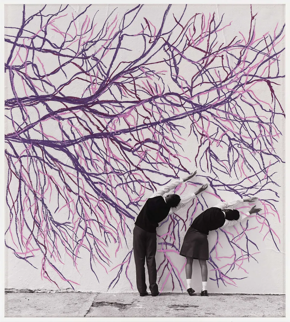 Robin Rhode, Jacaranda Vignette 4