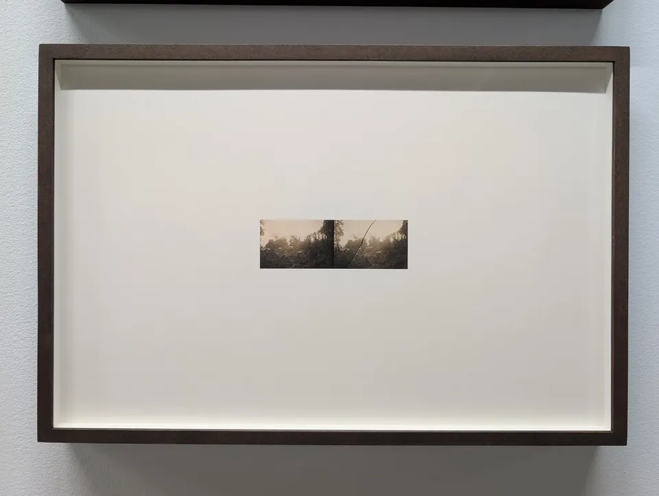 Yann Pocreau, les variations ( fêlure )