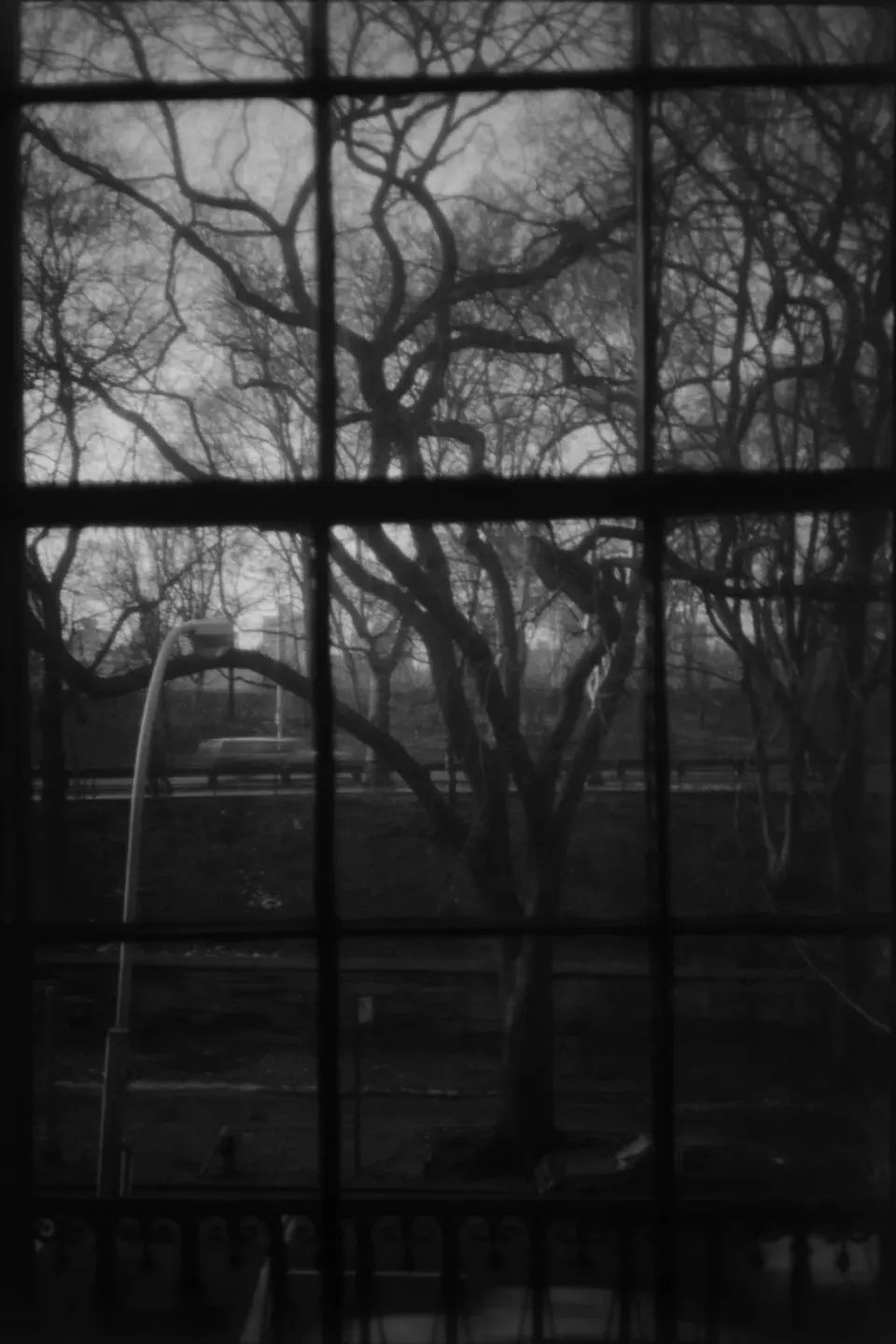 Angela Grauerholz, Sententia XXXV (35) 2/2