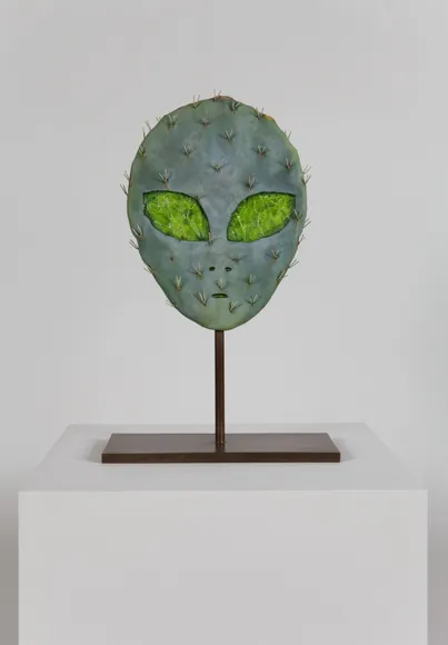 Matt Johnson, Alien Cactus