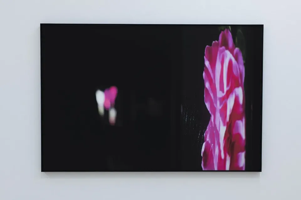 Mathieu Grenier, Surfaces #4