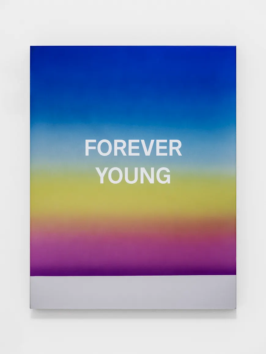 Wonwoo Lee, FOREVER YOUNG