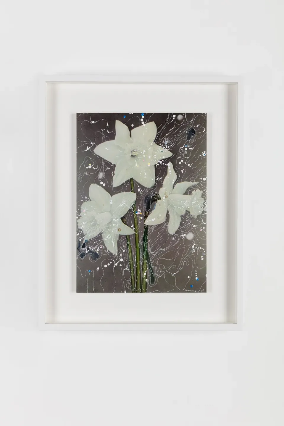 Sebastiaan Bremer, White Trumpet Daffodil Beershebas
