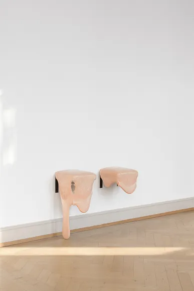 Nina Canell, Gum Shelves