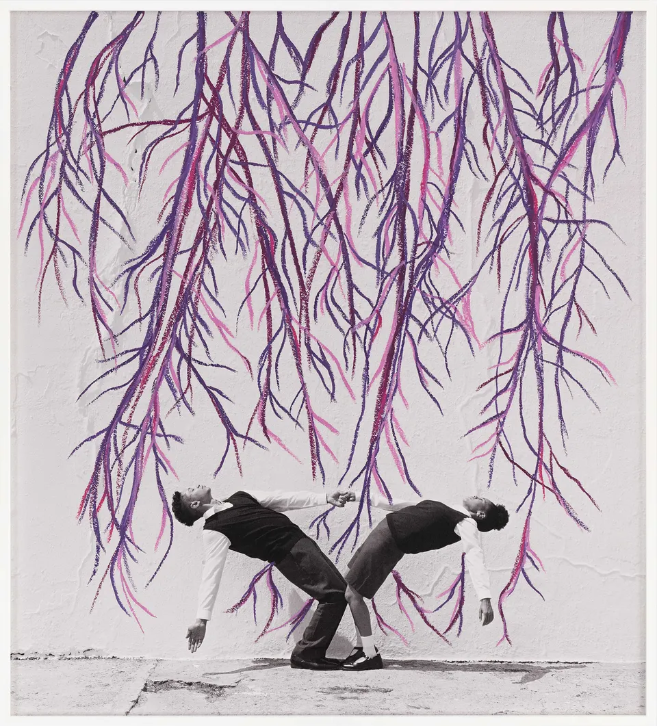 Robin Rhode, Jacaranda Vignette 2