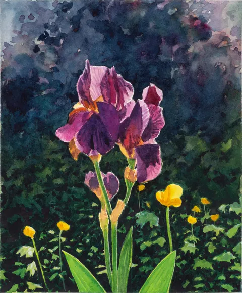 Tim Gardner, Iris