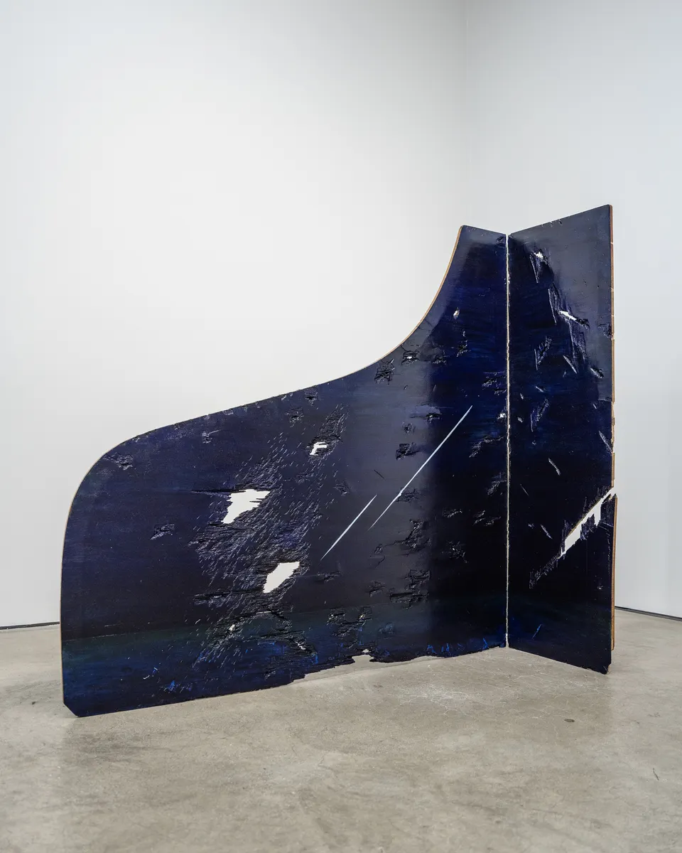 Astra Huimeng Wang, Damage Control