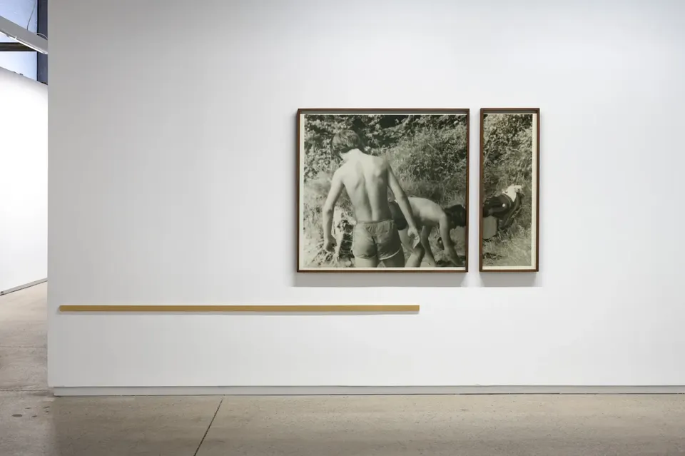 Yann Pocreau, The lapse (the bushes)