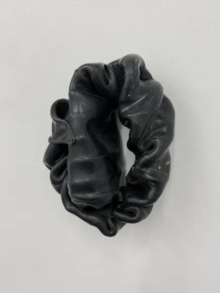 Nina Canell, Shedding Sheaths (O)