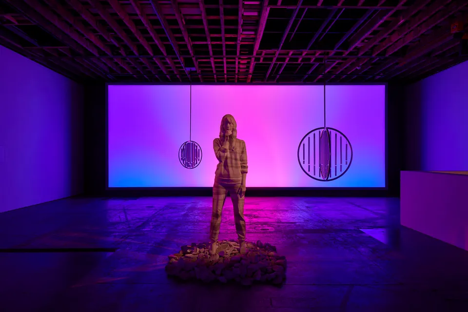 Doug Aitken, Inside Out