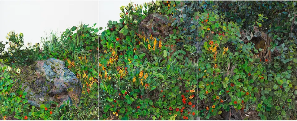 Deborah Poynton, Field Day