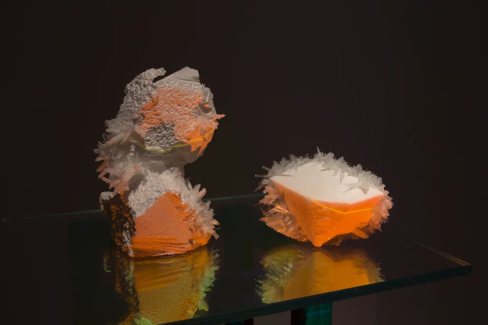 Wim Botha, Untitled (Bloom 3)