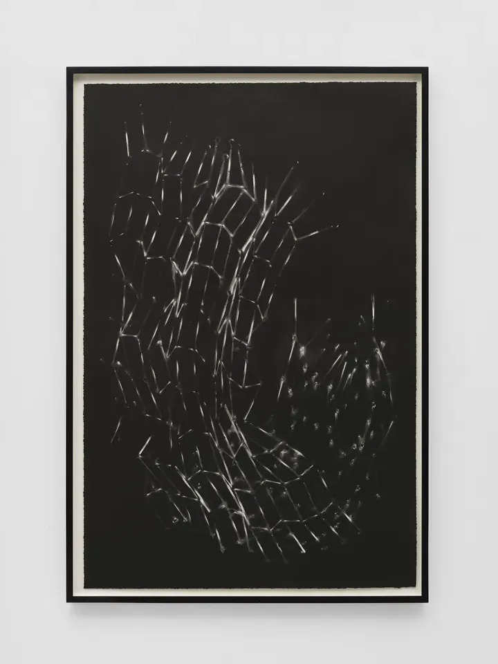 Mona Hatoum, Untitled (bed springs) I