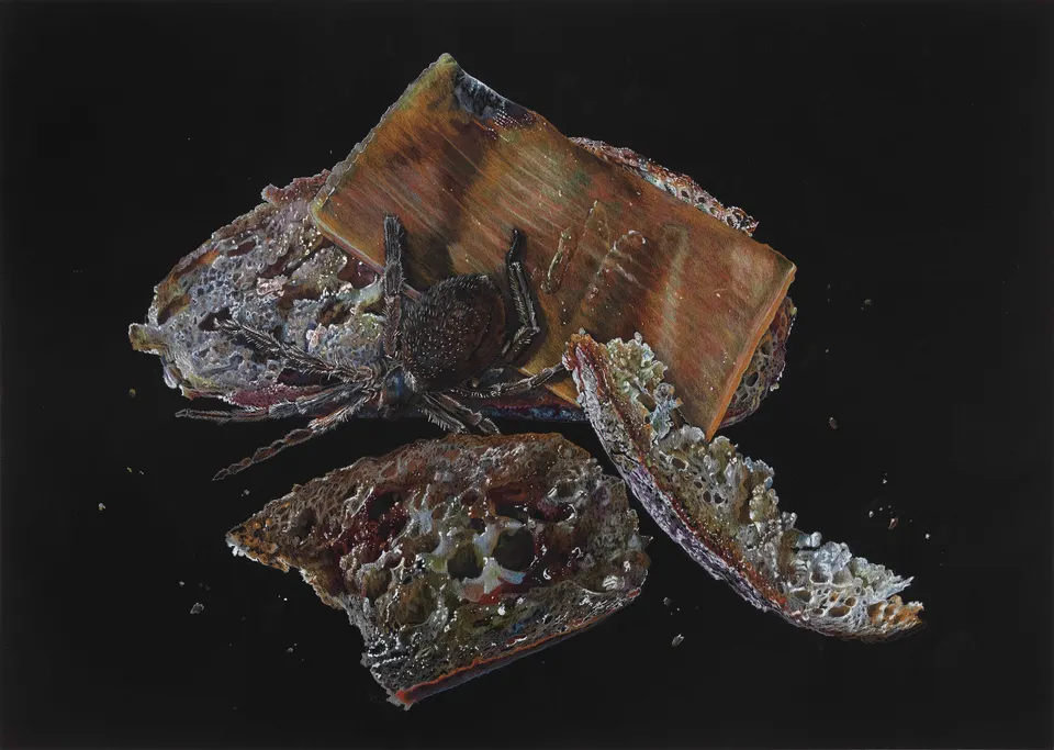 Deborah Poynton, Lunch