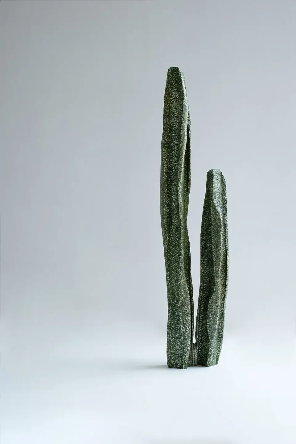 An Te Liu, Cactoid I, Ed. 3 of 3 + 1 AP