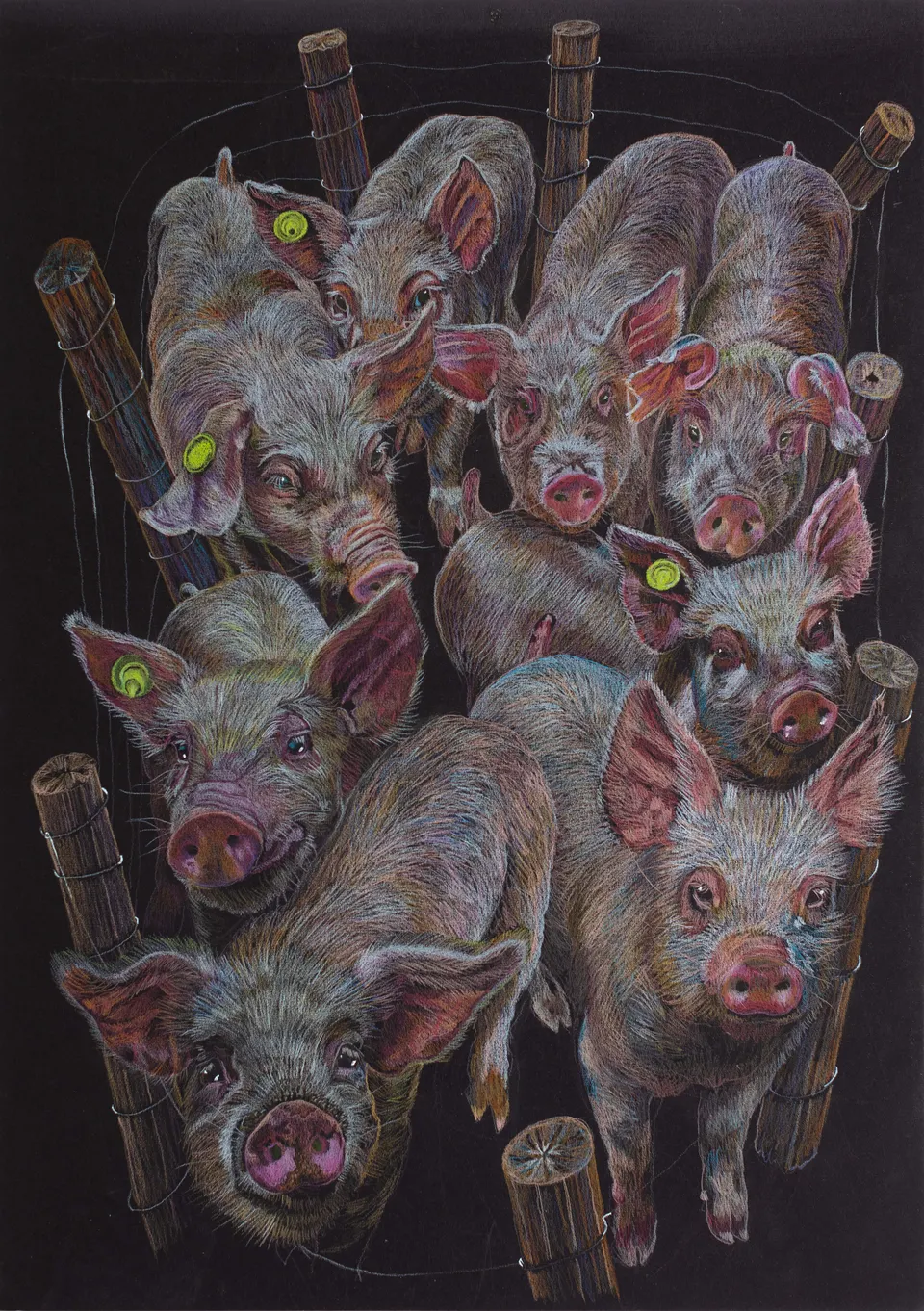 Deborah Poynton, Drawing on Black Paper 27