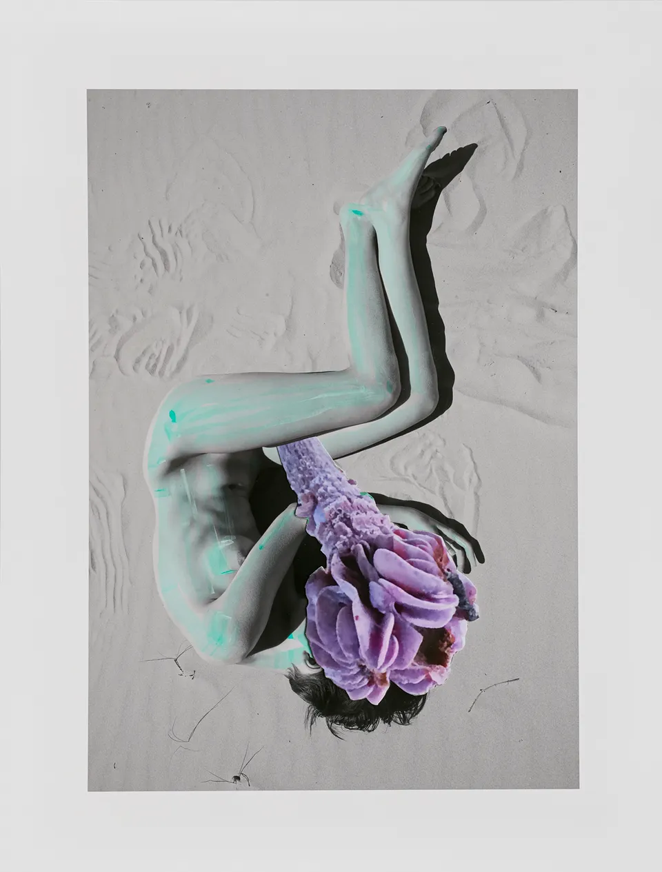 Viviane Sassen, Laccaria Amethystina