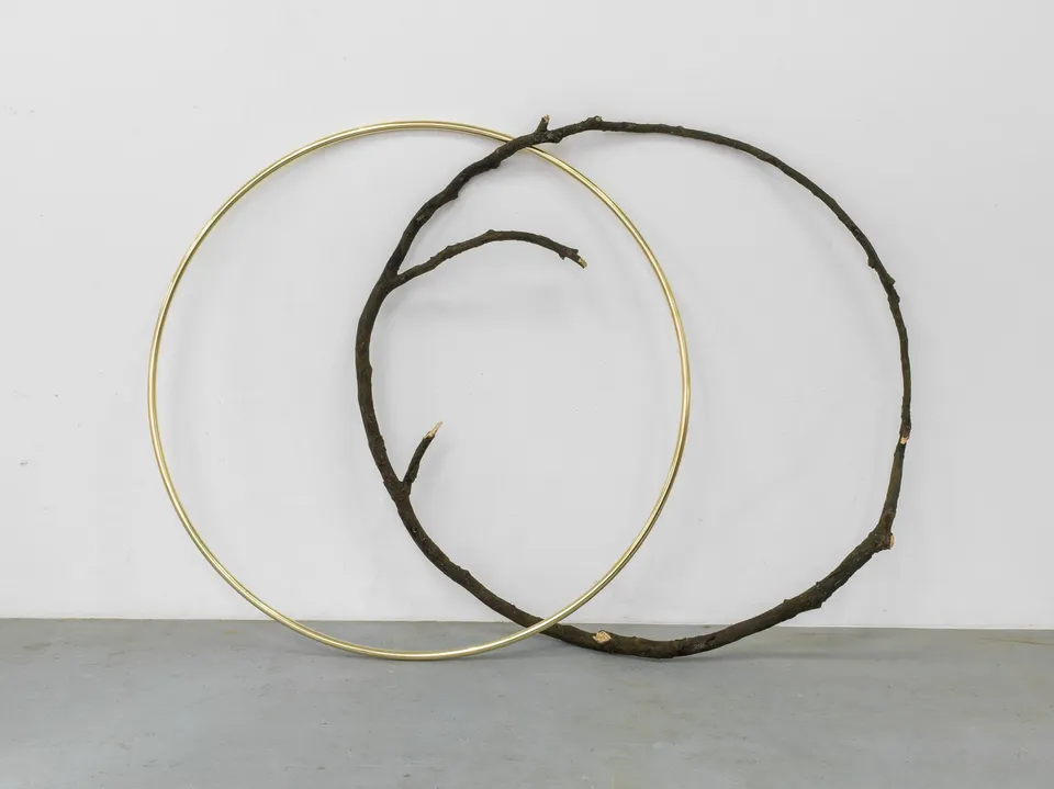 Alicja Kwade, Adoption of specific properties