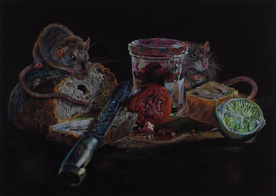 Deborah Poynton, Drawing on Black Paper 20