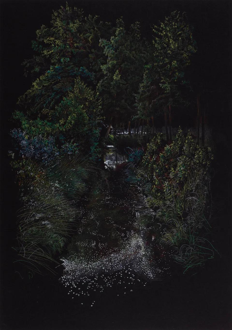 Deborah Poynton, Drawing on Black Paper 18