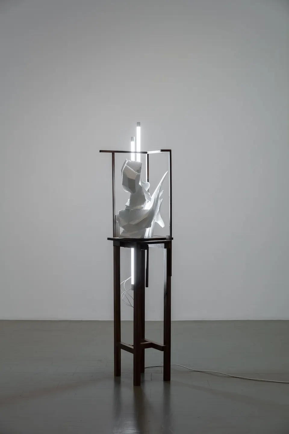 Wim Botha, Untitled (Breath 1)