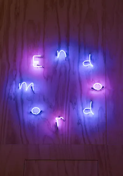 Dominique Gonzalez-Foerster, Endodrome
