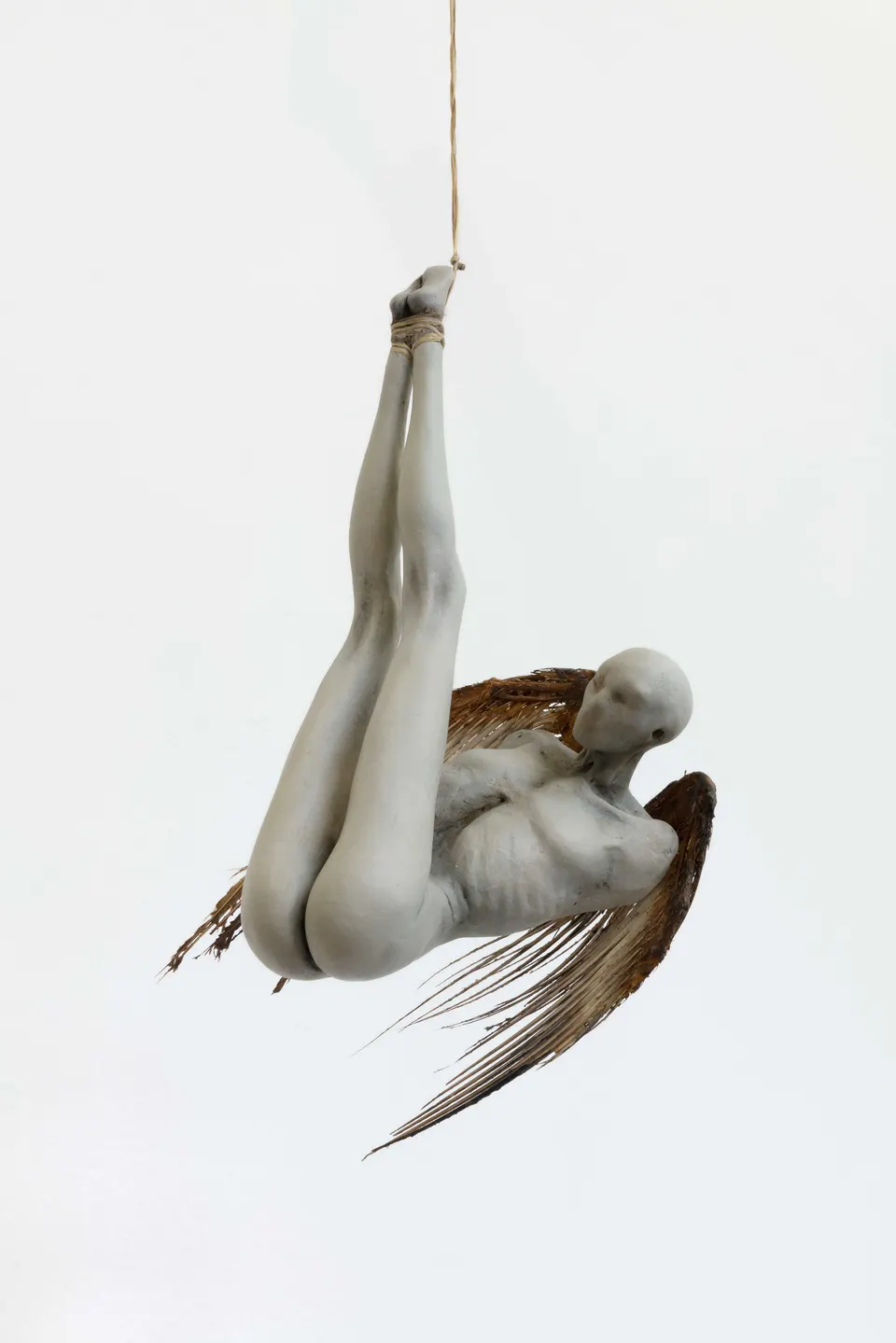 Jane Alexander, Domestic Angel