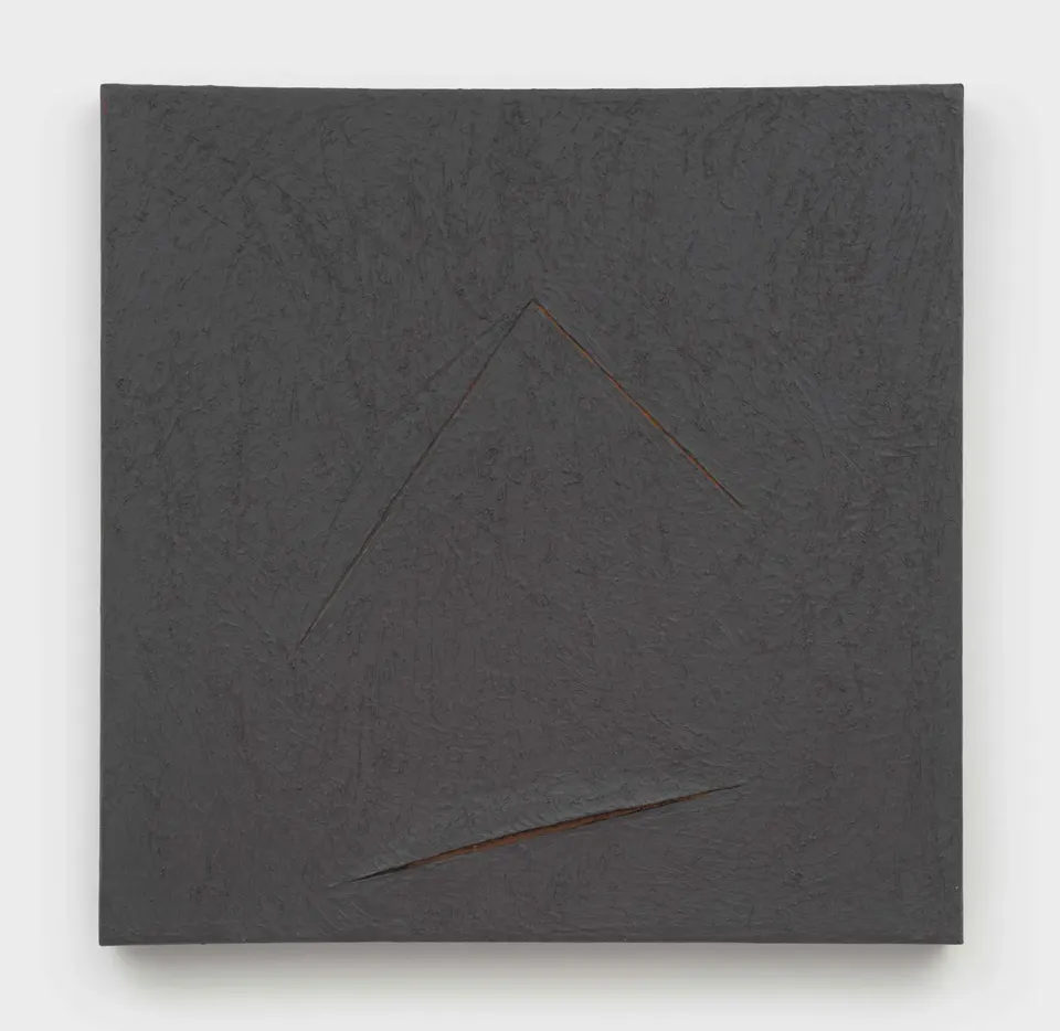 Kay WalkingStick, The Yellow Line