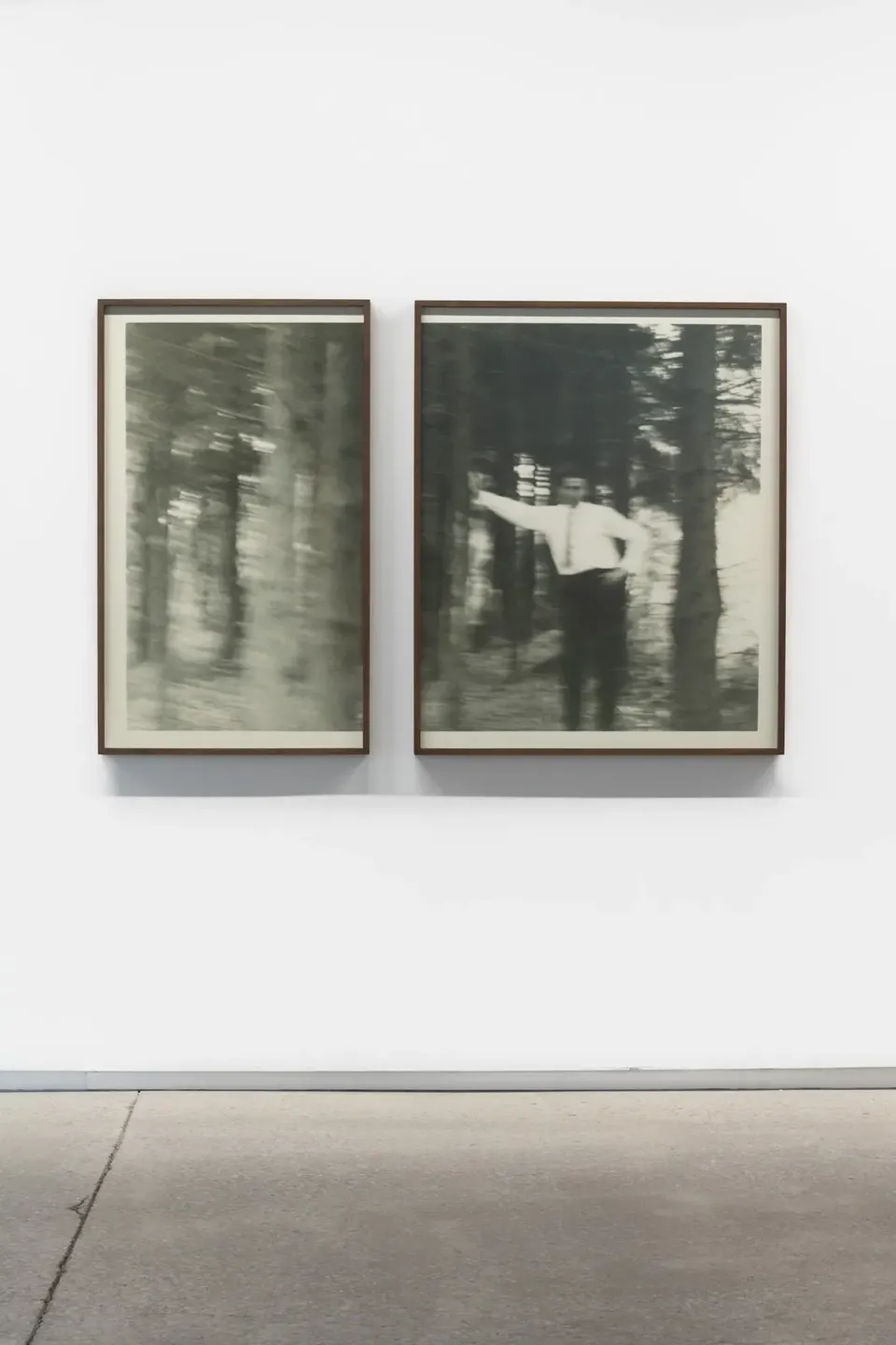Yann Pocreau, The lapse ( the woods)