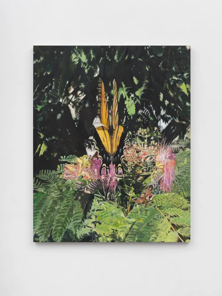 Van Hanos, Monarch And Mimosa
