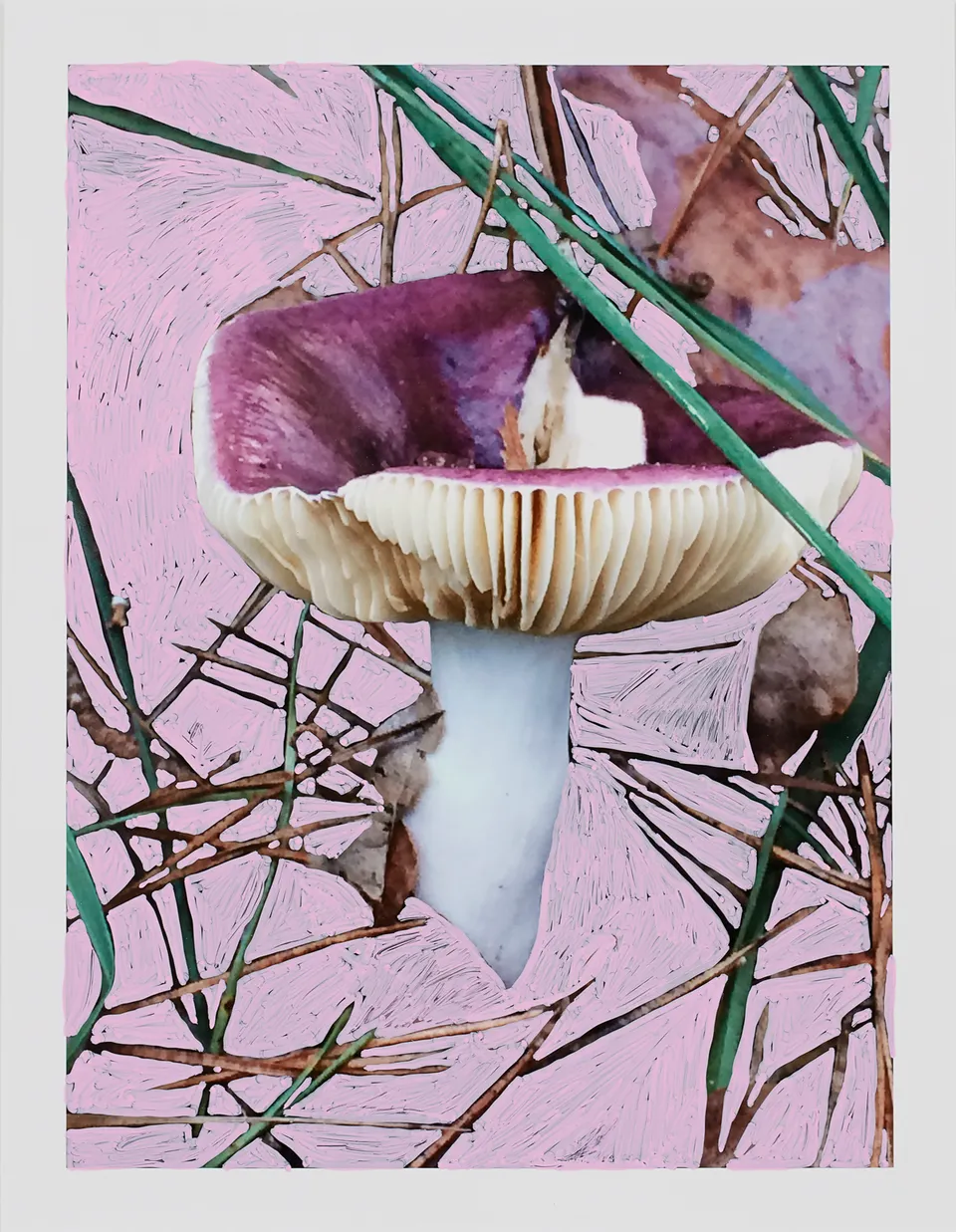 Viviane Sassen, Russula Coerulea