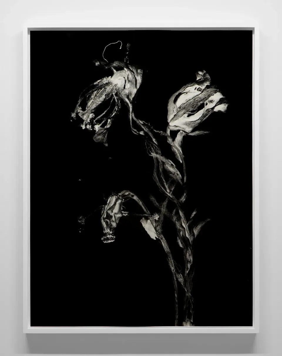 Geneviève Cadieux, Fleur fantôme 1 EA 1/2