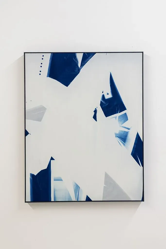 Mathieu Grenier, Efflorescence des corps #4