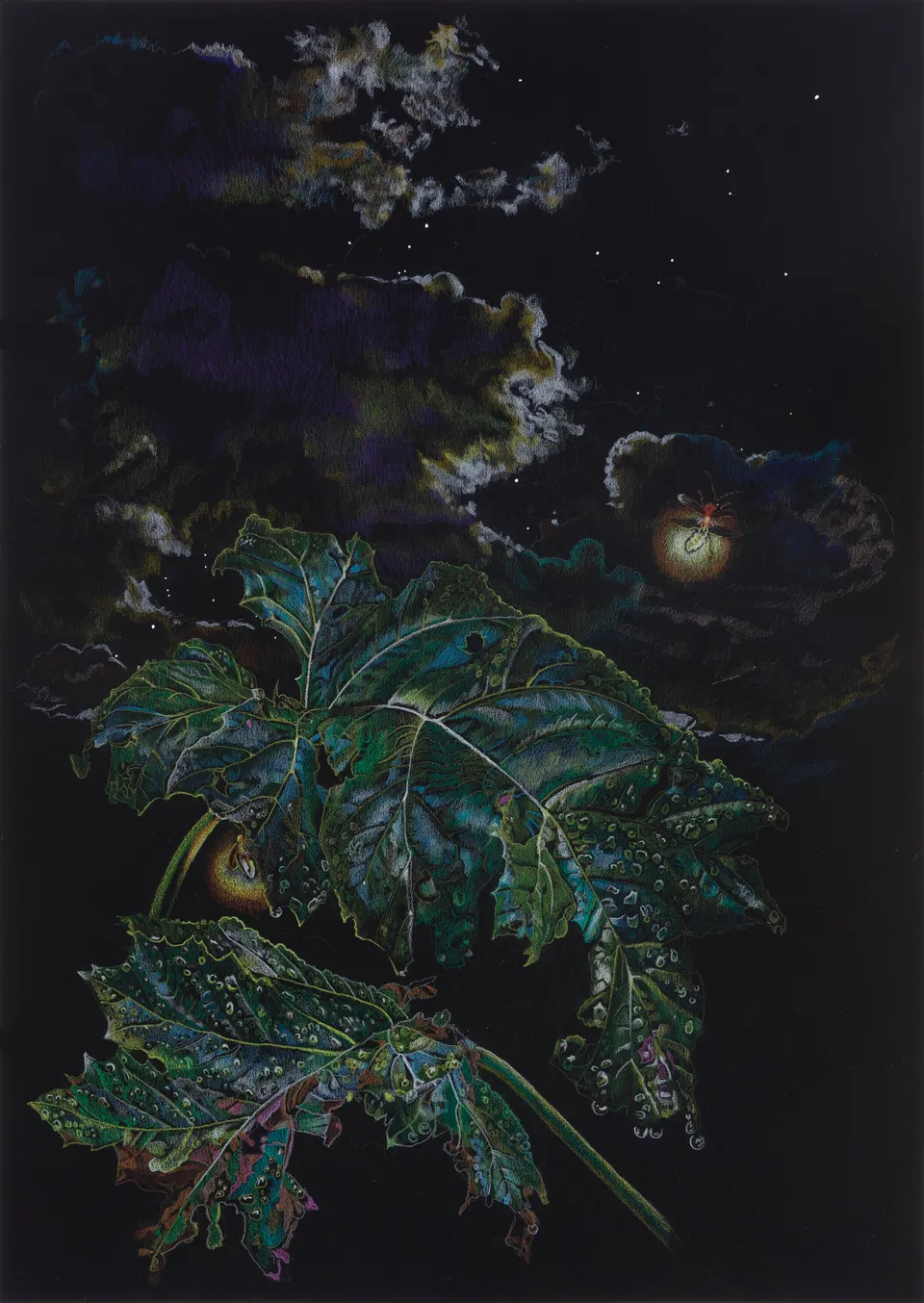 Deborah Poynton, Drawing on Black Paper 6