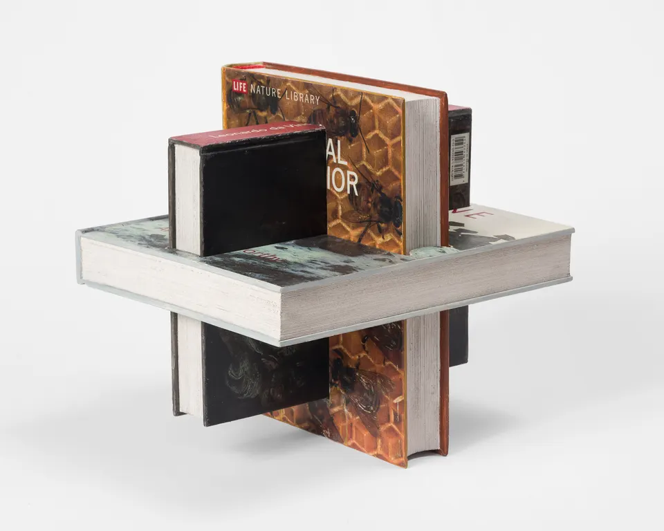 Matt Johnson, 3 Intersecting Books (Andy Goldsworthy, Animal Behavior, Leonardo da Vinci)