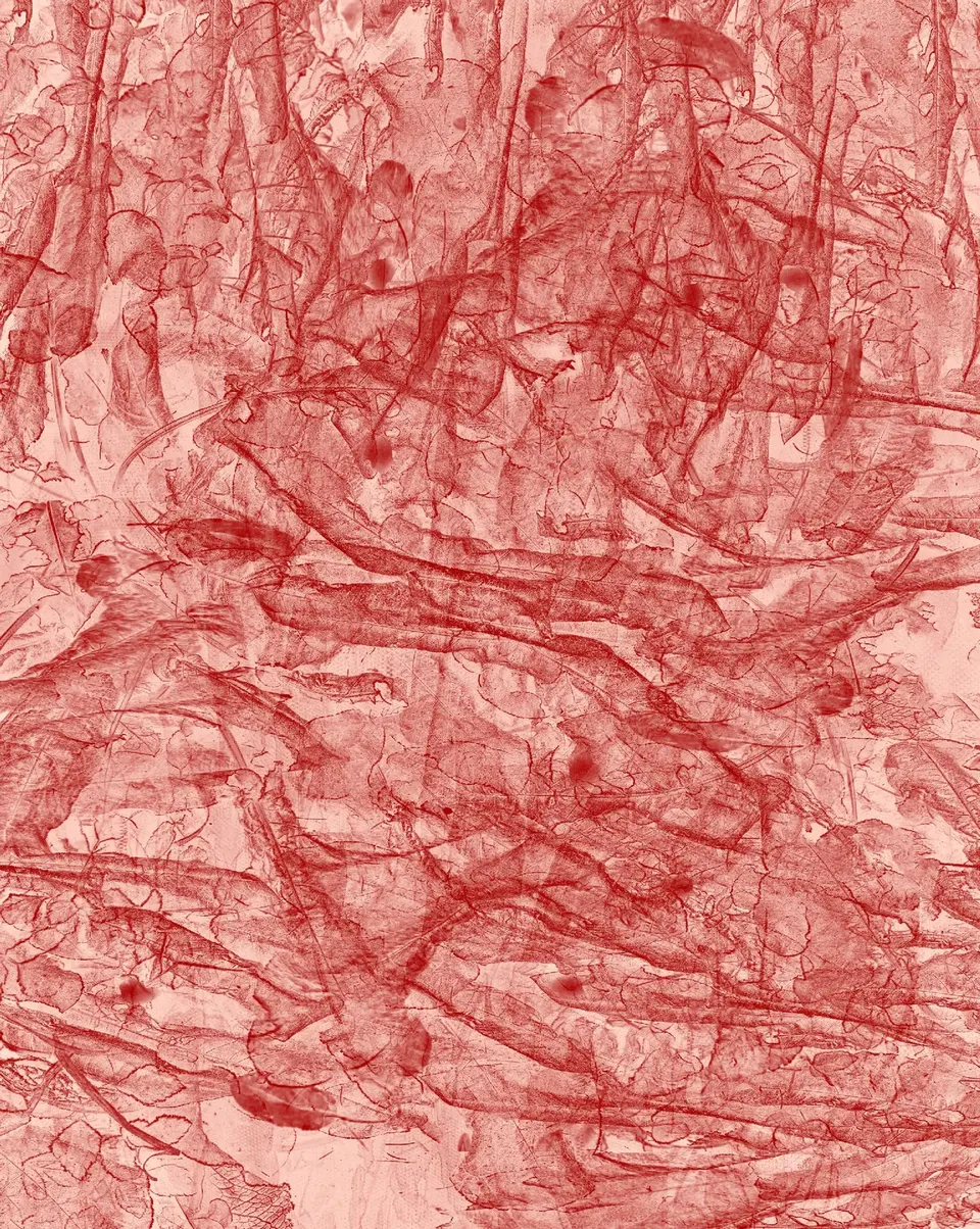 Pascal Grandmaison, Transparence rouge