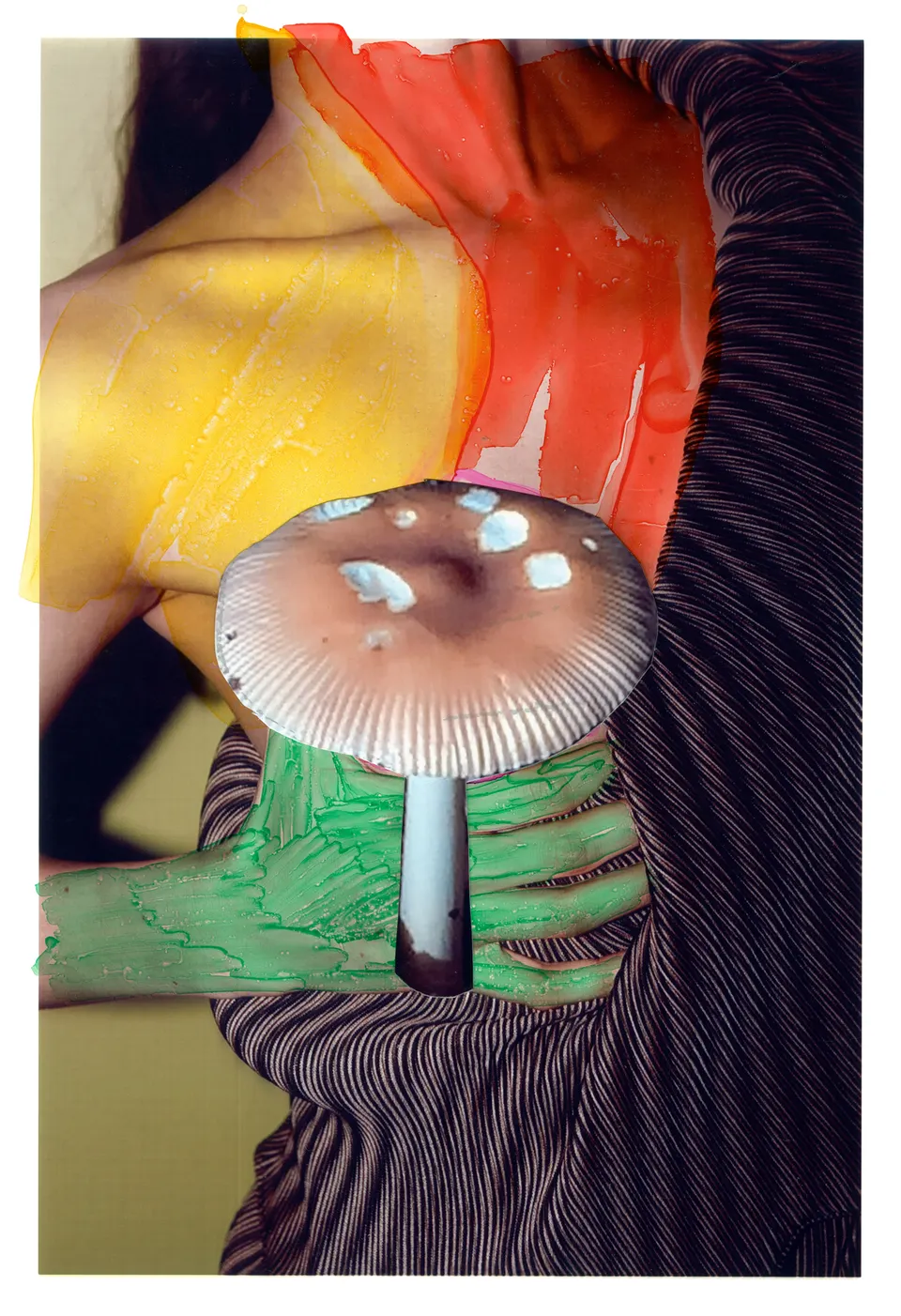 Viviane Sassen, Amanita Fulva