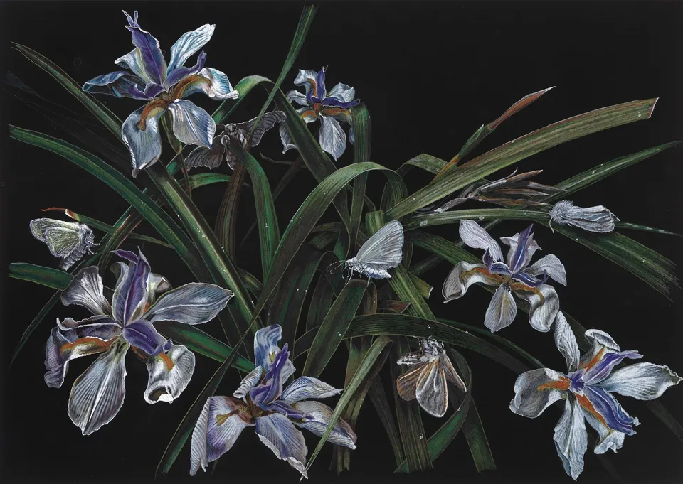 Deborah Poynton, Fly-by-night